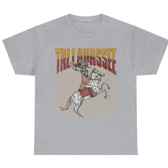 Vintage Florida State Seminoles Sweatshirt FSU Seminoles football Shirt Tee 02 - Picture 1 of 1